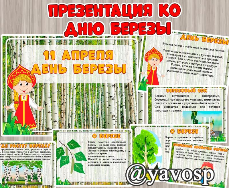 День березы - 11 апреля