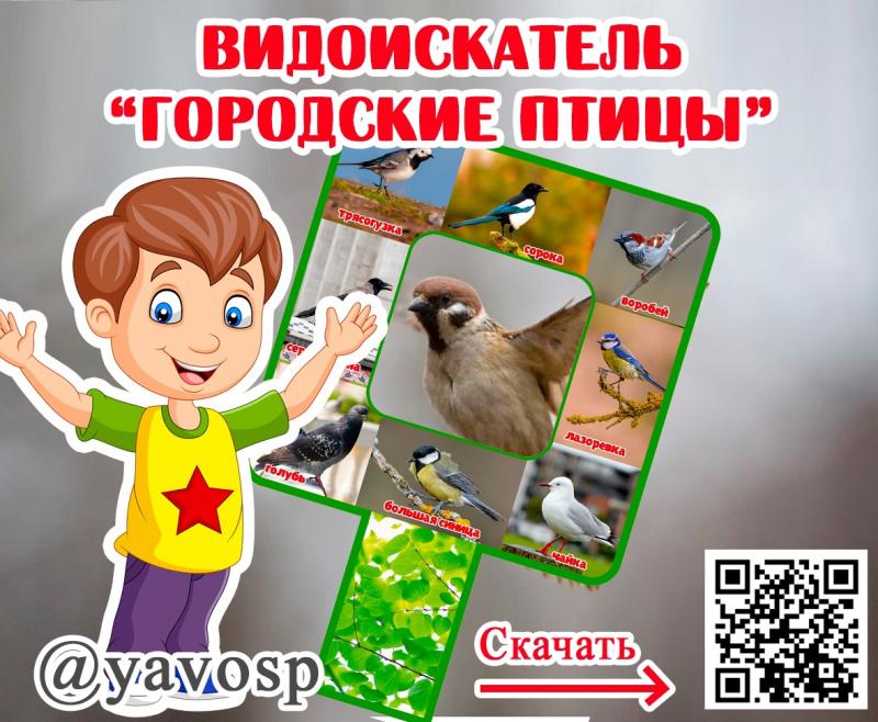 Видоискатель "Городские птицы"