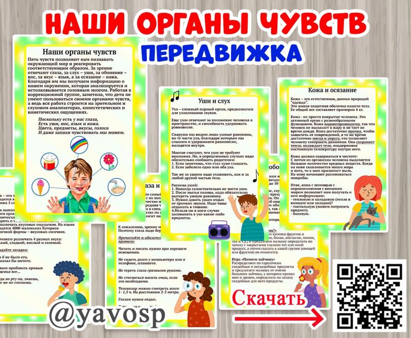 Наши органы чувств
