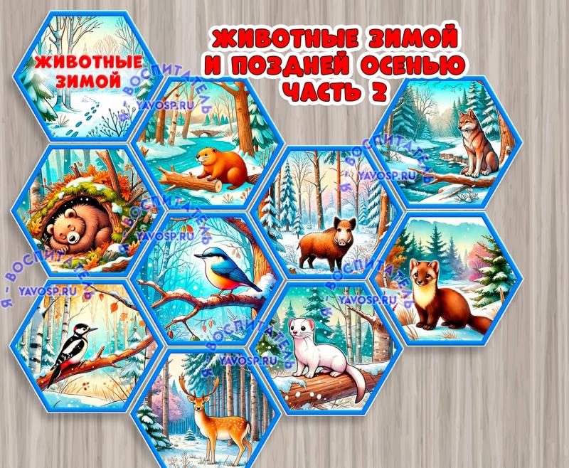 Стендбук "Животные поздней осенью и зимой". Часть 2  ()