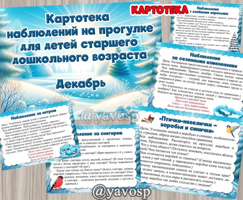Картотека наблюдений - старшая группа- ДЕКАБРЬ  