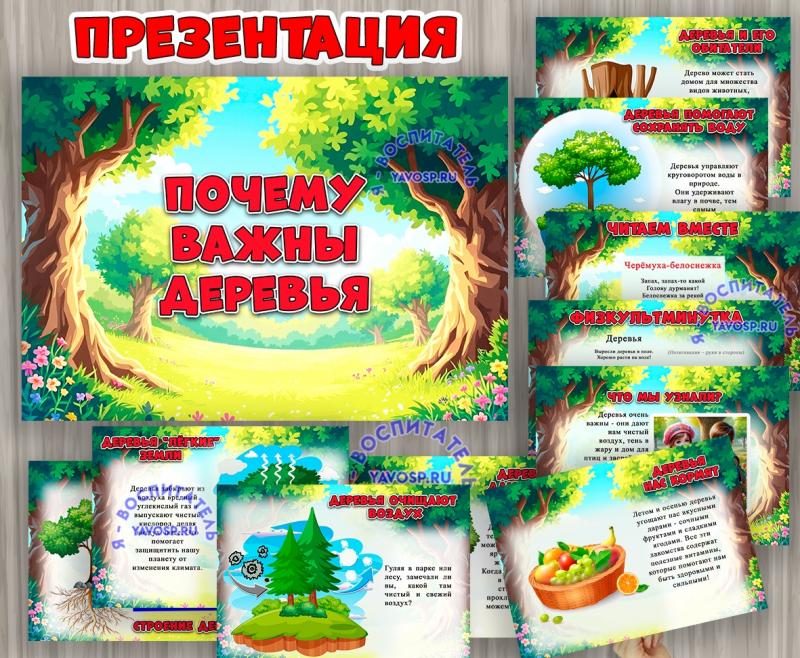 Презентация «Почему важны деревья»  ()