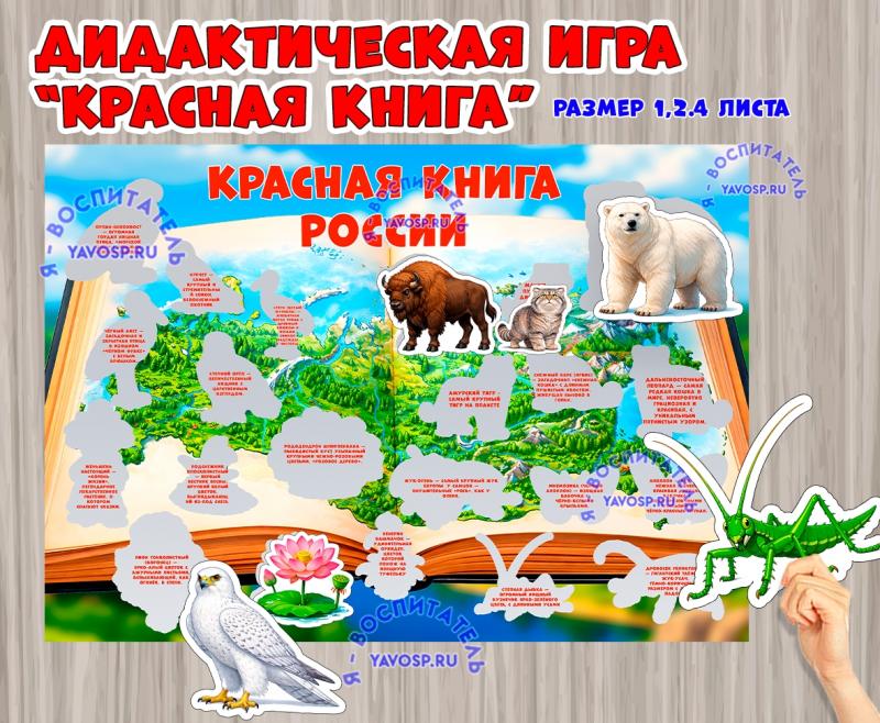 Игра на липучках "Красная книга России" (красная книга, игра, книга, День России, Дидактическая игра)