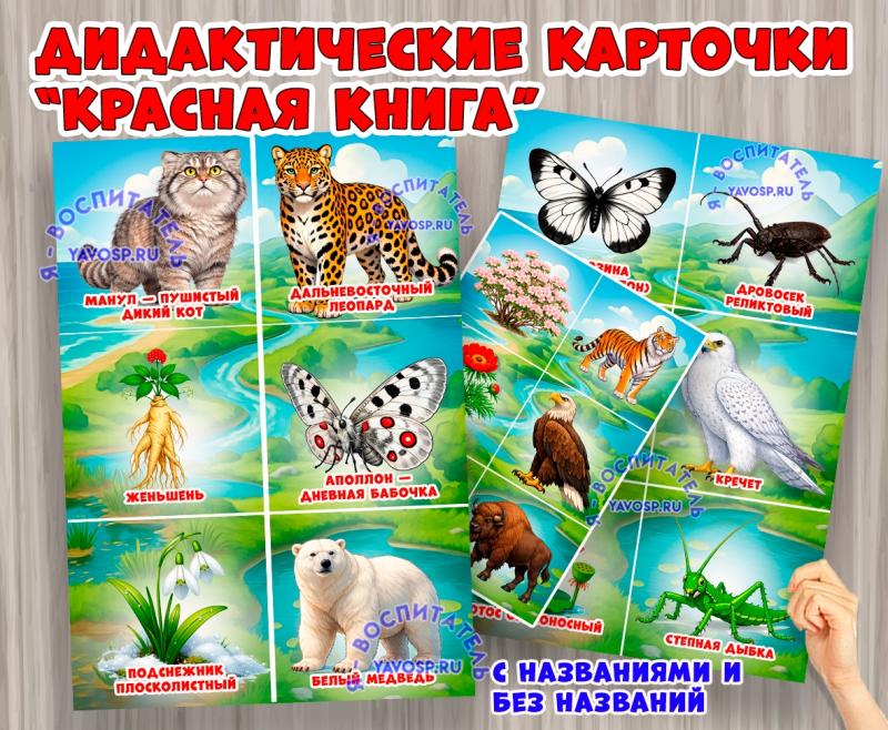 Дидактические карточки "Красная книга России" (красная книга, карточки, книга, День России, интерактивная книга)