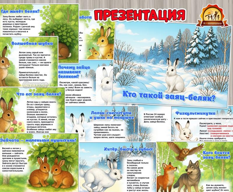 «Кто такой заяц-беляк?» (заяц)