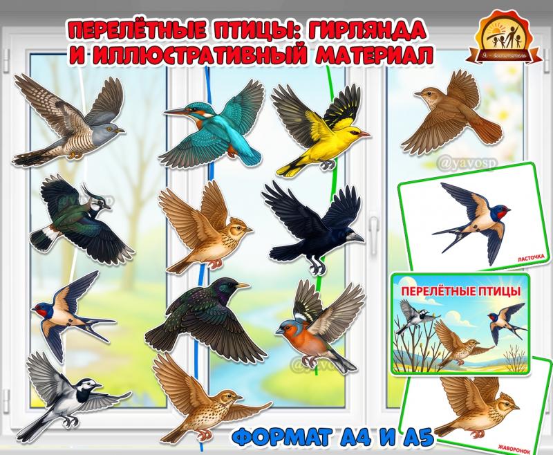Весенняя двусторонняя гирлянда и иллюстративный материал «Перелетные птицы»  (гирлянда, наглядный материал, перелетные птицы)