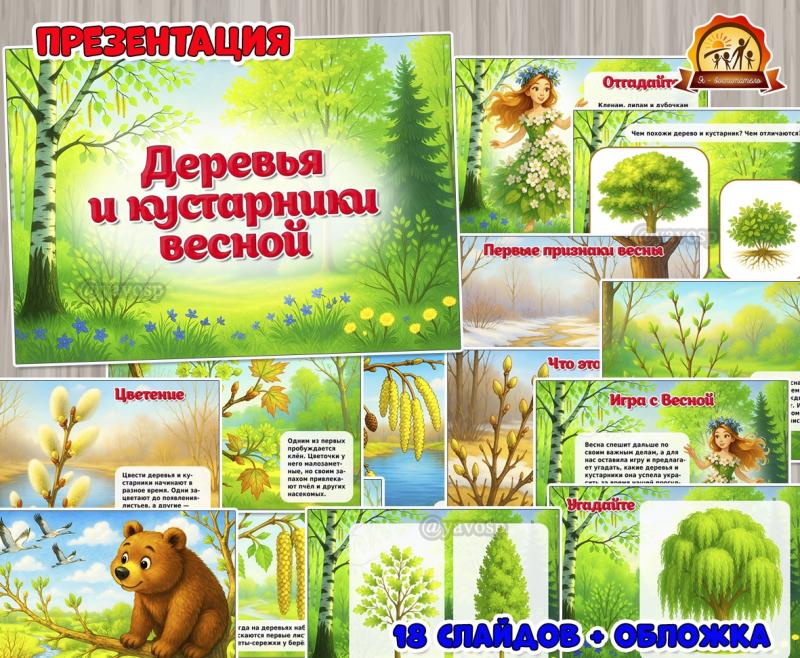 Презентация «Деревья и кустарники весной» Презентация «Деревья и кустарники весной» (презентация)