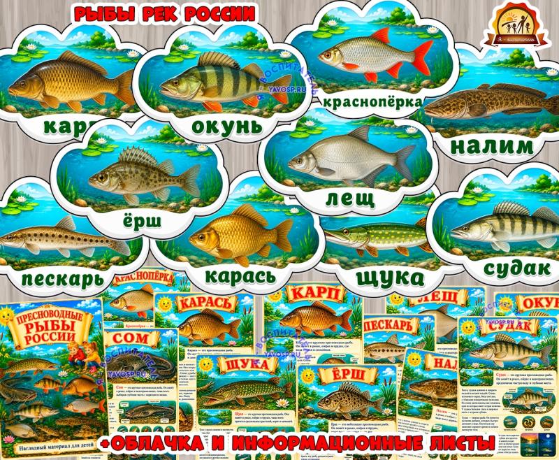 Пресноводные рыбы России Пресноводные рыбы России (рыбы)