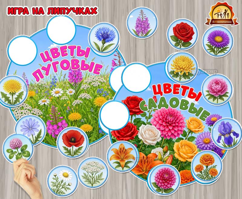 Игра на липучках «Цветы луговые и садовые» Игра на липучках «Цветы луговые и садовые» (цветы, игра, Дидактическая игра, игра на прищепках, игра с фонариком)