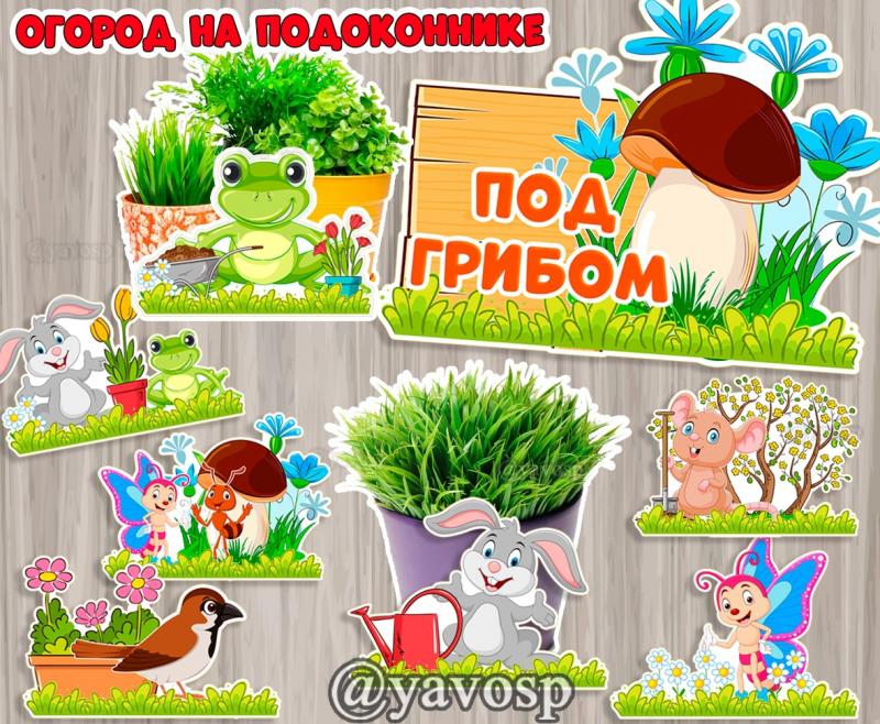 Огород на подоконнике "Под грибом" ()
