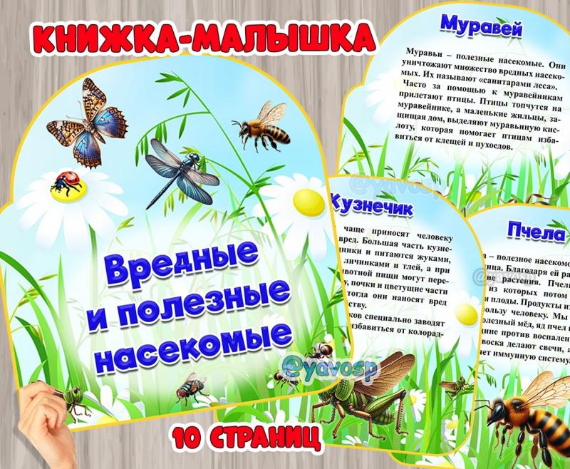 Книжка-малышка "Вредные и полезные насекомые", детский сад, средняя, старшая. подготовительная группа, экология, природа