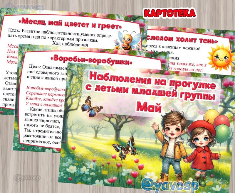 Картотека наблюдений на прогулке в МАЕ ()