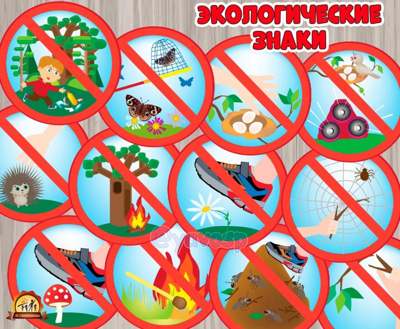 Экологические знаки Экологические знаки