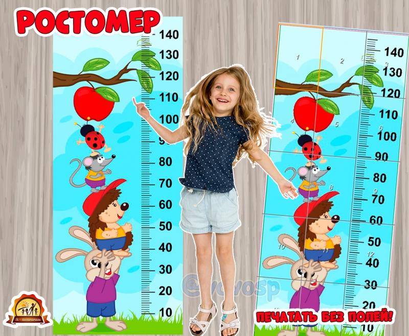 Ростомер для детей 