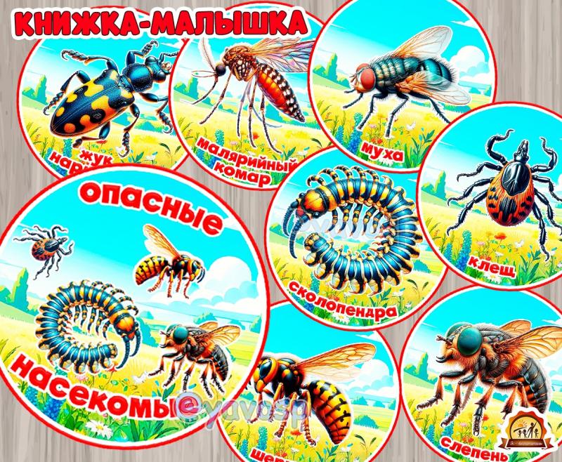 Опасные насекомые 