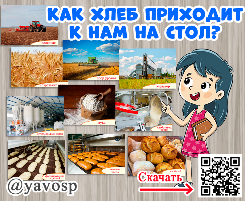 Как хлеб попадает к нам на стол? Наглядный материал для детского сада и школы Как хлеб попадает к нам на стол? Наглядный материал для детского сада и школы ()