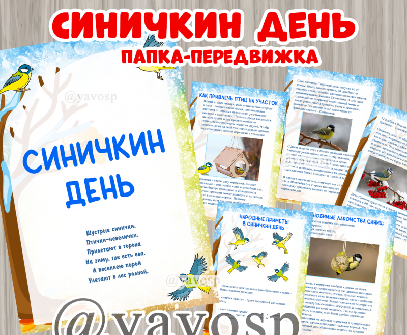 синичкин день папка-передвижка ширма