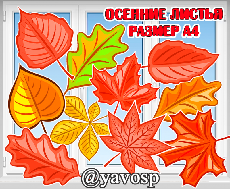 Осенние листья для оформления и танцев, сценок, размер а4, двусторонние (осень, листья), младшая, средняя, старшая, подготовительная группа, детский сад, дошкольники, начальная школа