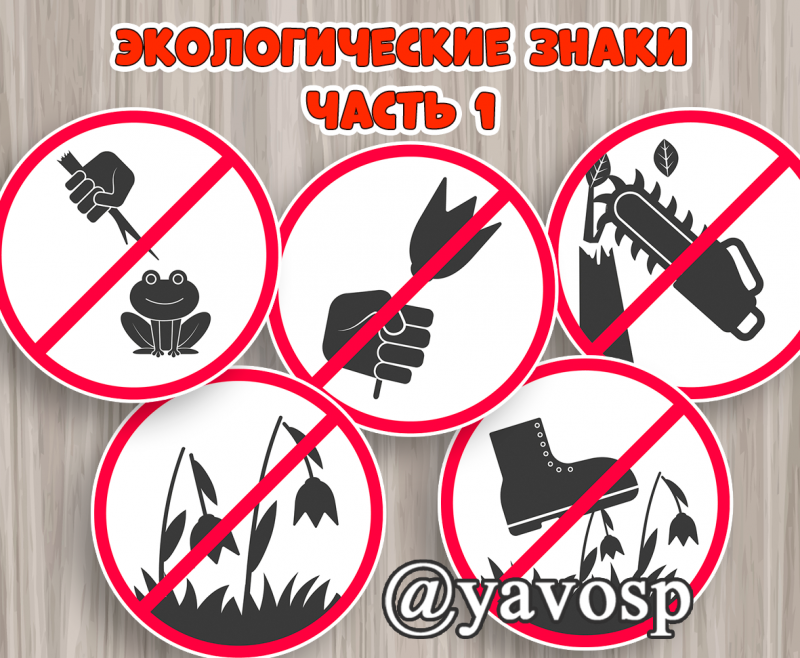 Экологические знаки - правила поведения на природе, в лесу