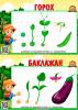 Цикл роста растений в виде плакатов а4 - как развивается растение (экология, огород на подоконнике, растения, огород) Цикл роста растений в виде плакатов а4 ()
