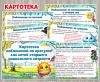 Картотека наблюдений на прогулке в ноябре  