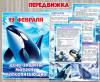 Передвижка «19 февраля – День защиты морских млекопитающих» ()