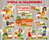Оформляем огород на подоконнике «Чудеса в горшочках»!  ()
