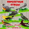 Маски - ободки "Перелетные птицы", детский сад, средняя, старшая, подготовительная группа, театрализация, весна