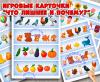 Дидактическая игра "Что лишнее и почему?" ()