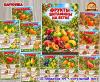 Фрукты – витамины на ветке (фрукты)